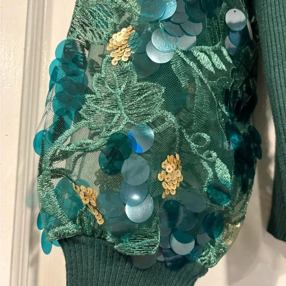 Sioni Green Embellished Sleeve Sweater - Picture 10 of 13